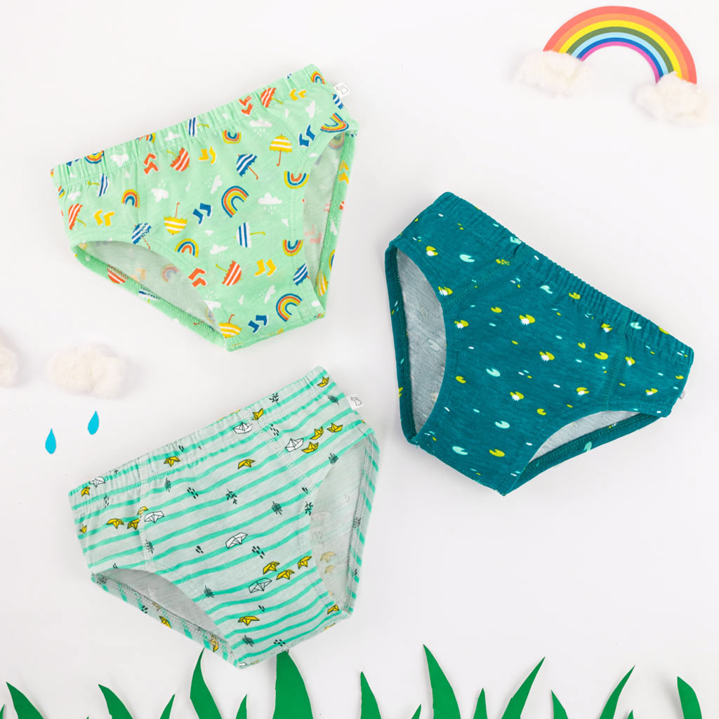 Young Boy Briefs -3 Pack (Rainy Poppins)