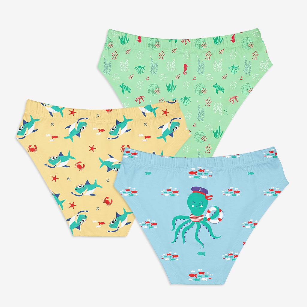 Young Boy Briefs -3 Pack (Sea-Saw)