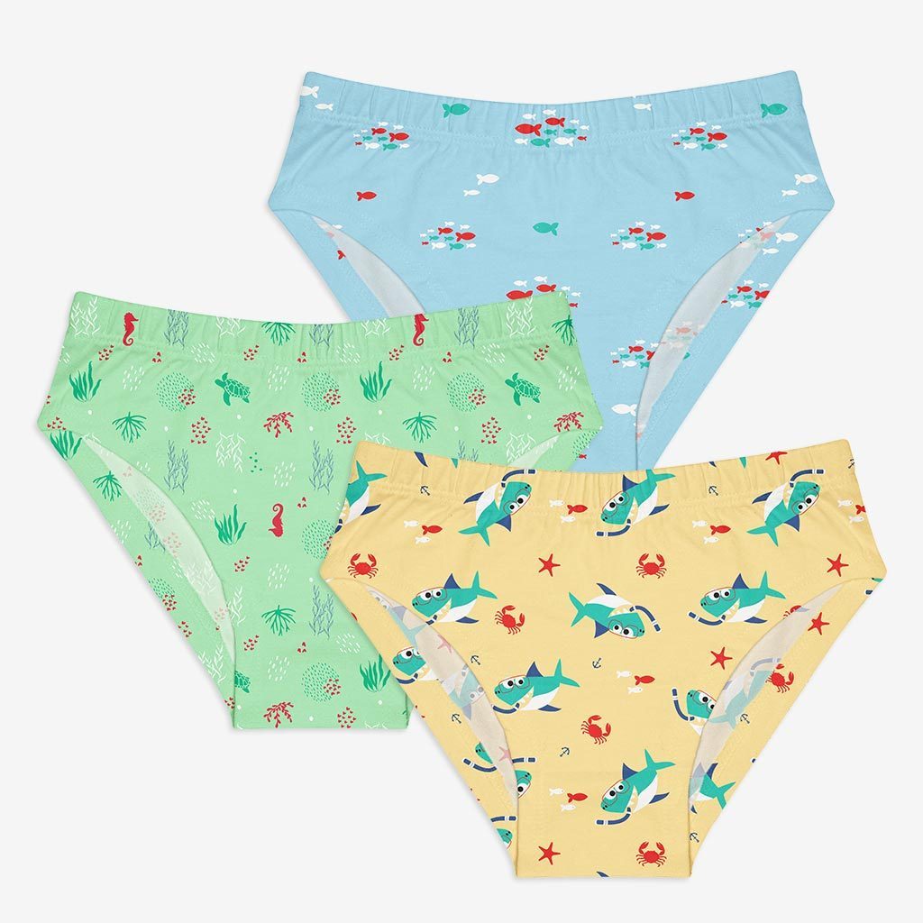 Young Girl Briefs -6 Pack (Woody Goody - Sea-saw)