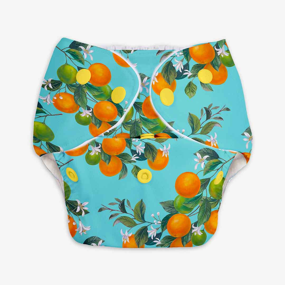 Peaches - BASIC Cloth Diaper, New & Improved with EasySnap & Quick Dry UltraThin Pad